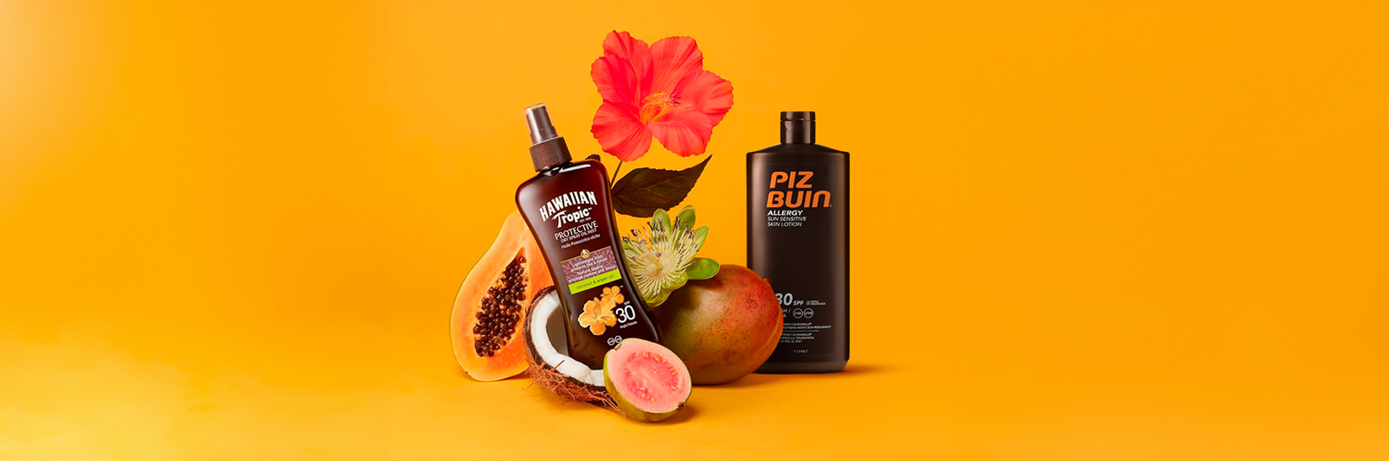 Solares - 365 dias do Ano