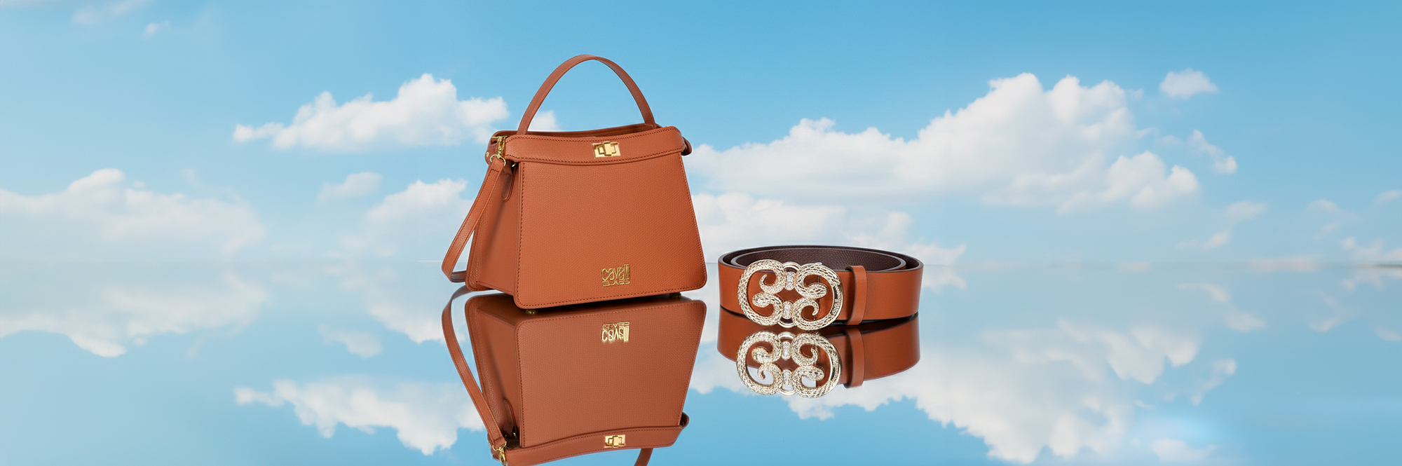 Carteiras Cavalli Class desde 44,99€