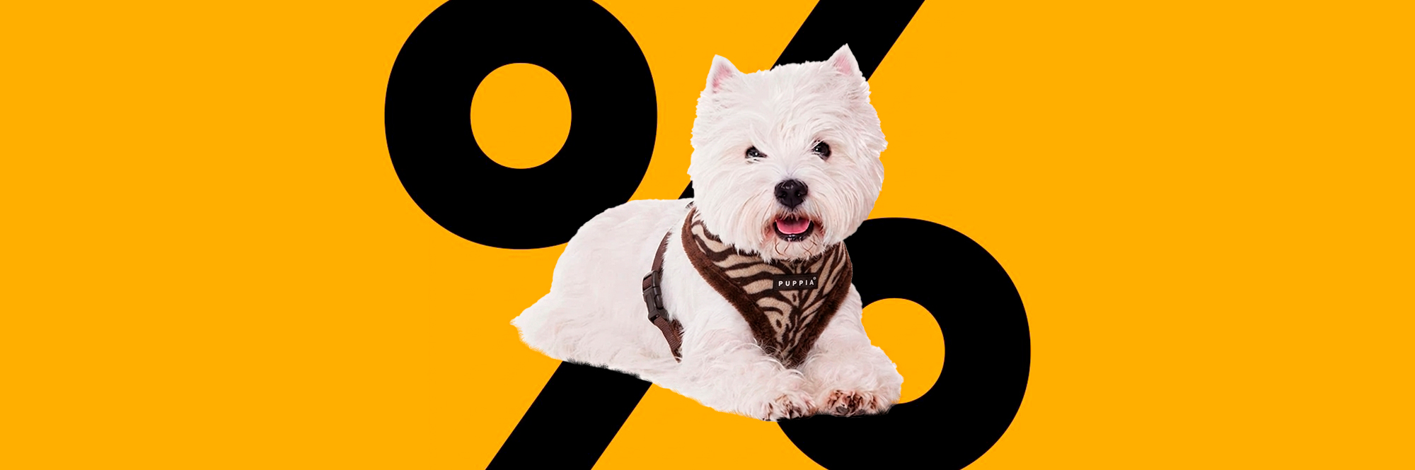 Liquidação Acessórios Pet