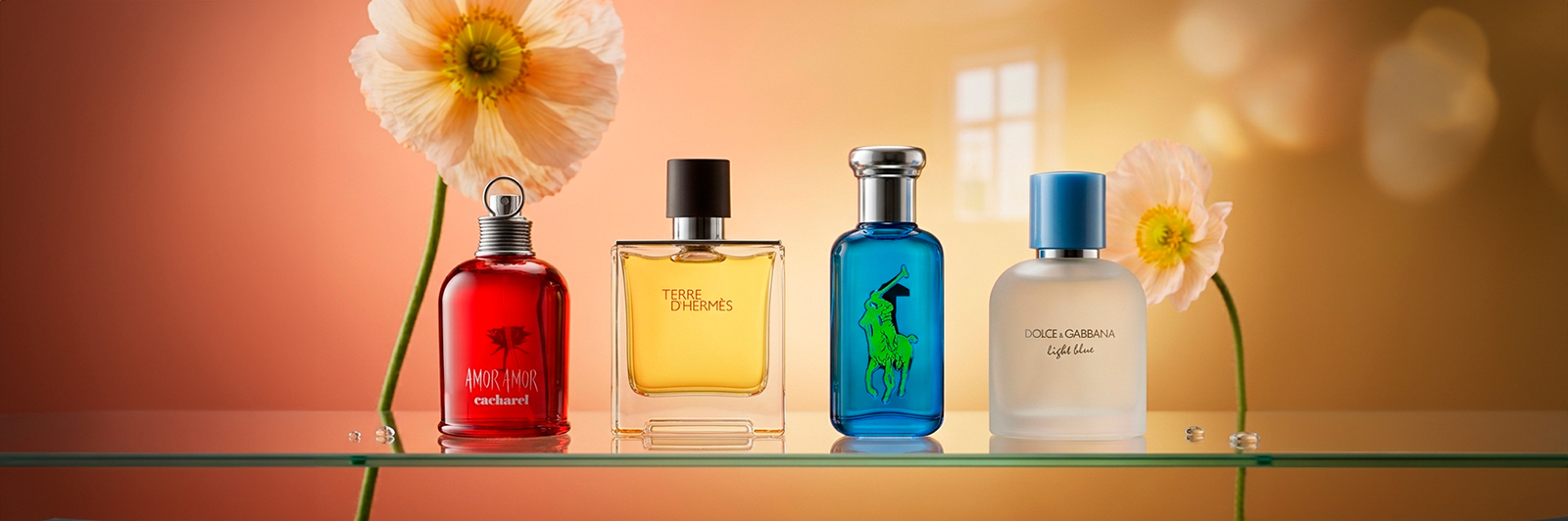 Back in Stock - Perfumes