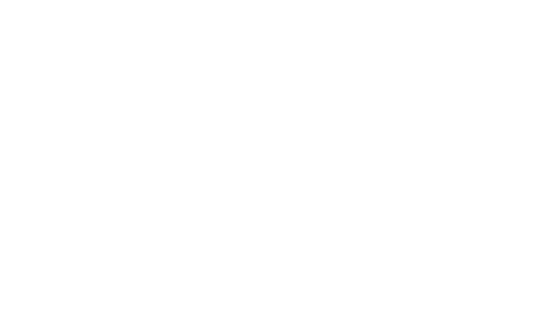 Magnussen