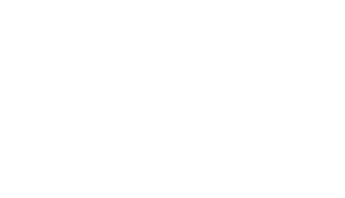 AVIREX