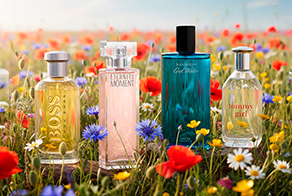 TOP 50 Perfumes
