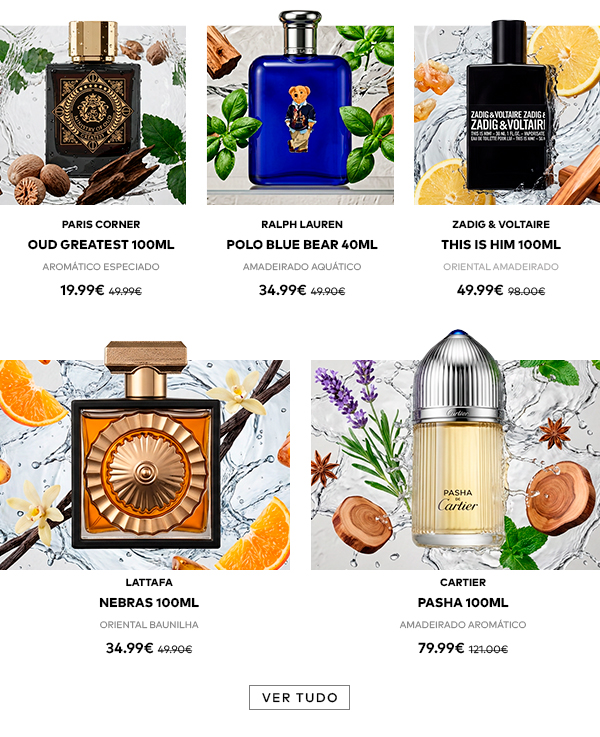 Template 11 13abr26 05