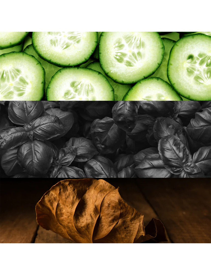 CK One Shock Eau de Toilette