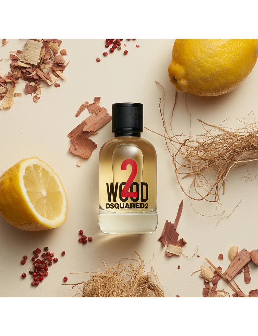 2 Wood Eau de Toilette