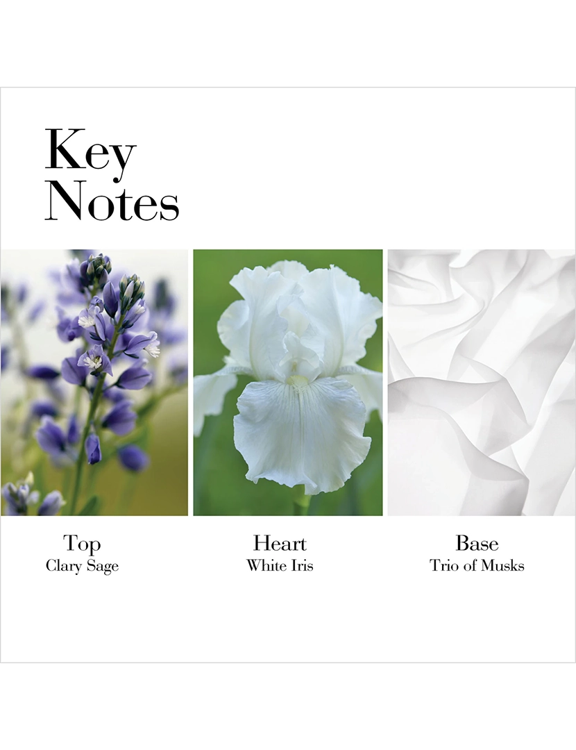 White Tea Eau de Toilette