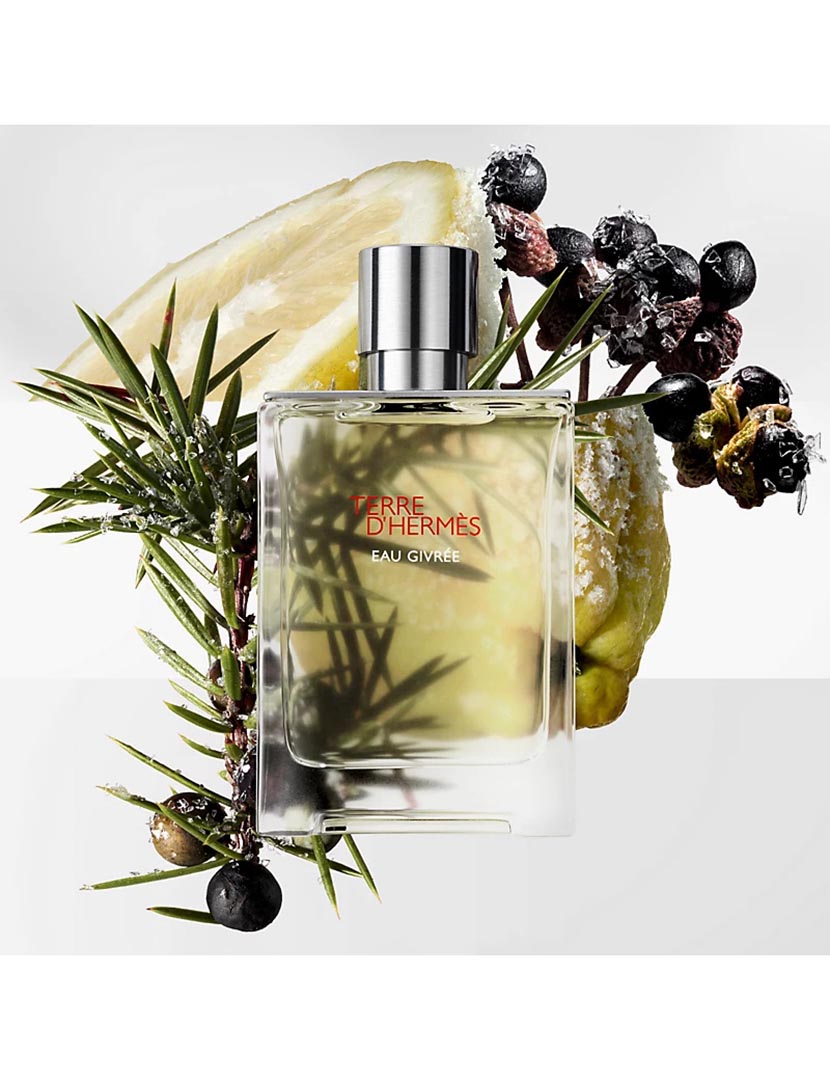 Terre d’Hermès Eau Givrée Eau de Parfum