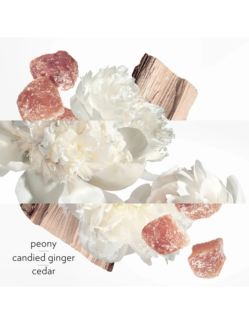 Twilly Eau Ginger Eau de Parfum