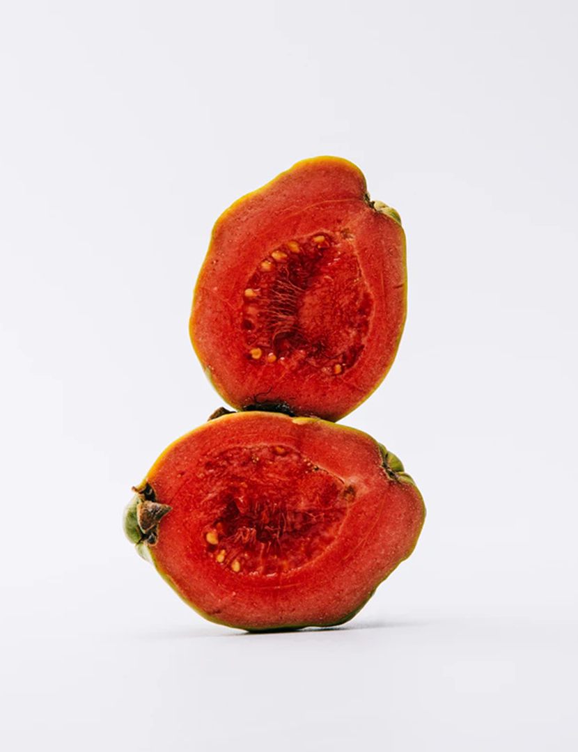 Solo Eau de Toilette