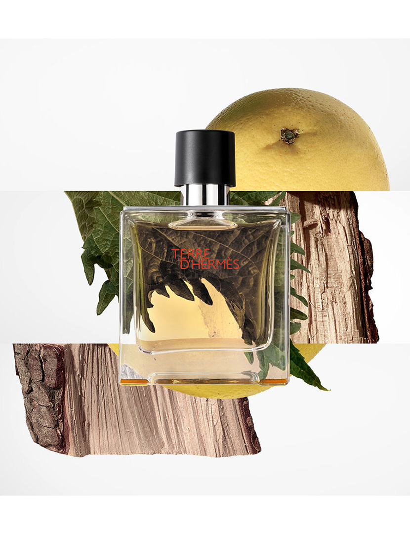 Terre Hermes Eau de Parfum