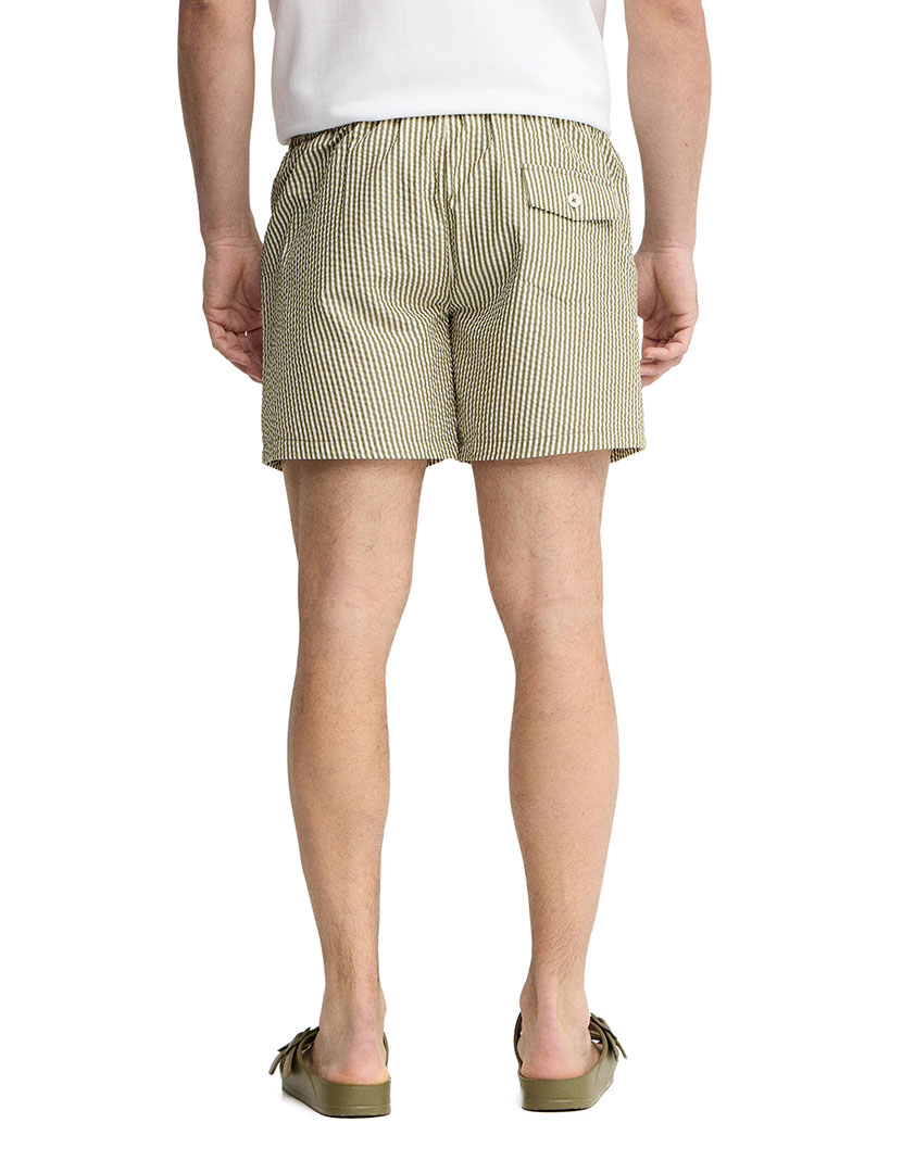 Stripe Green Swim Shorts