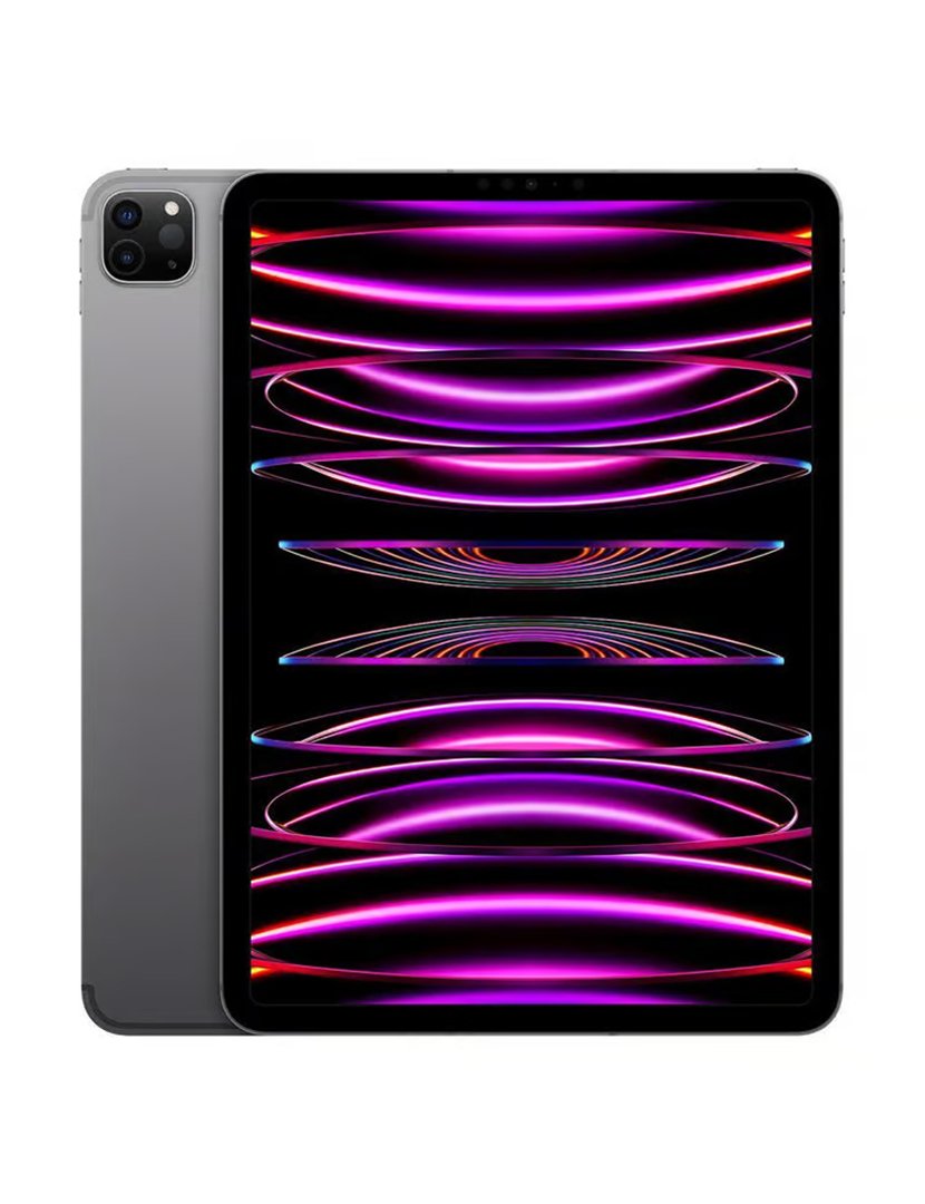 iPad Pro 11" 4th Gen (2022) 256GB WiFi + Cellular Cinzento