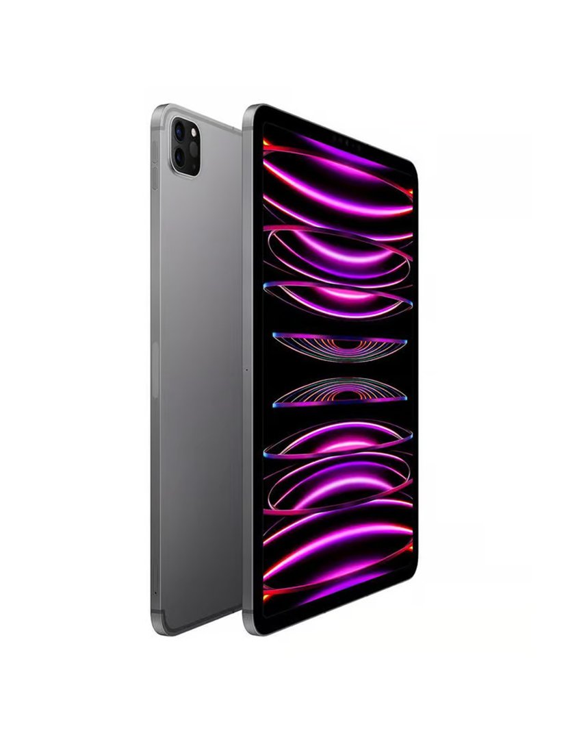 iPad Pro 11" 4th Gen (2022) 1TB WiFi + Cellular Cinzento