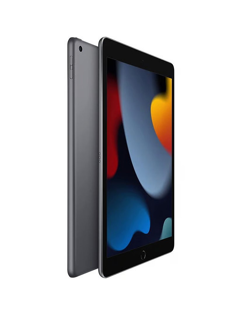 iPad 10.2" 9th Gen (2021) 256GB WiFi + Cellular Cinzento