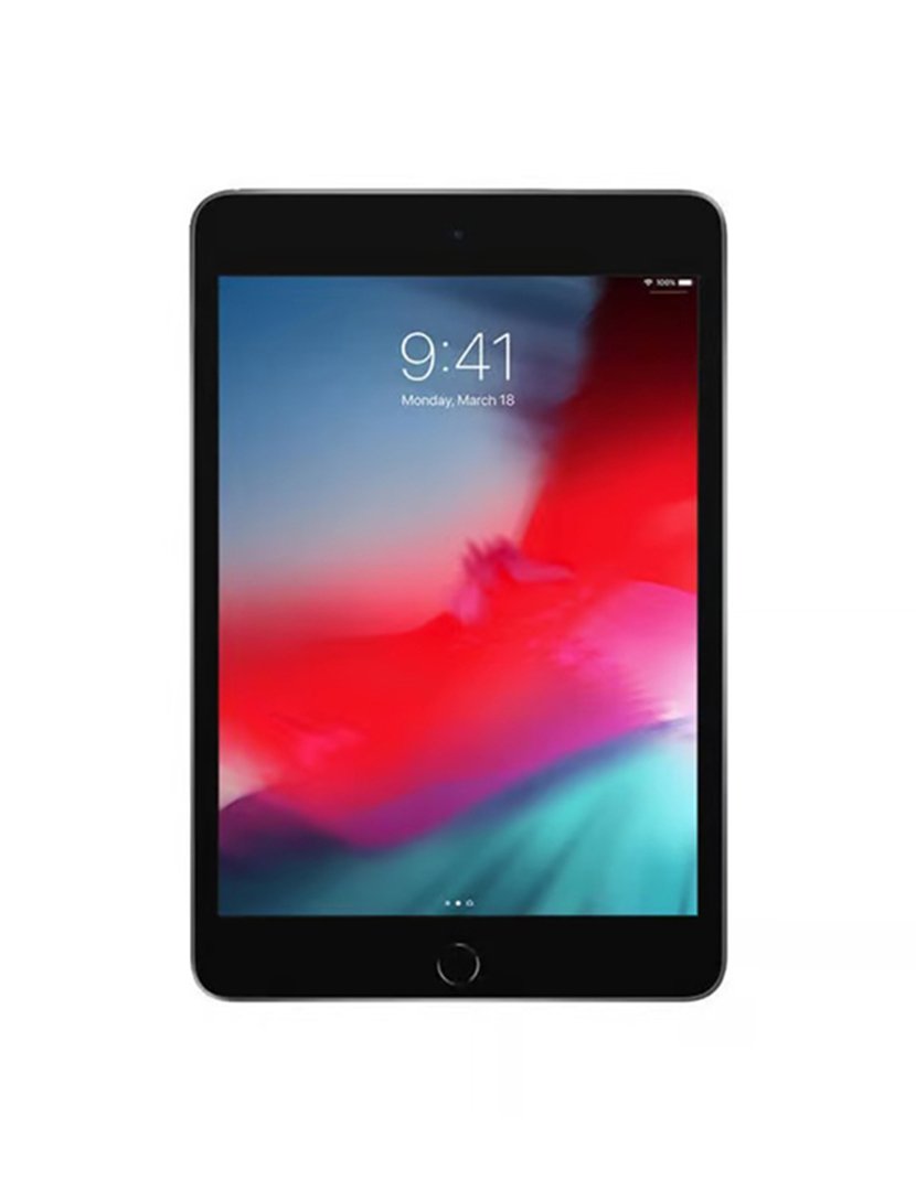 iPad Mini 7.9" 5th Gen (2019) 256GB WiFi + Cellular Cinzento