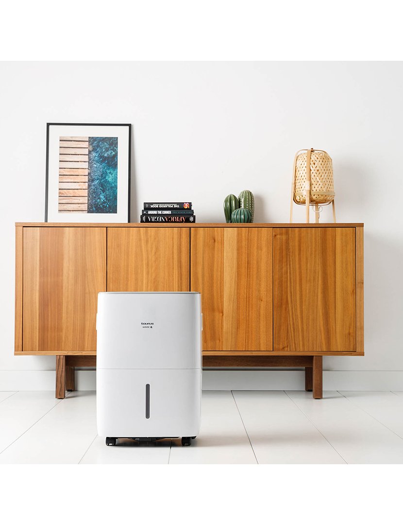 Desumidificador Pleasant Water Pump (Dh30D)