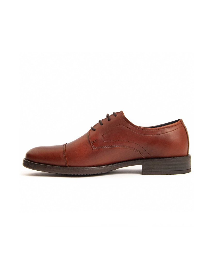 Sapatos Oxford Homem Castanho
