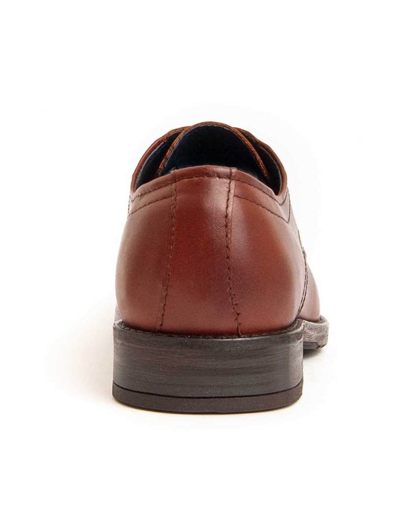 Sapatos Oxford Homem Castanho