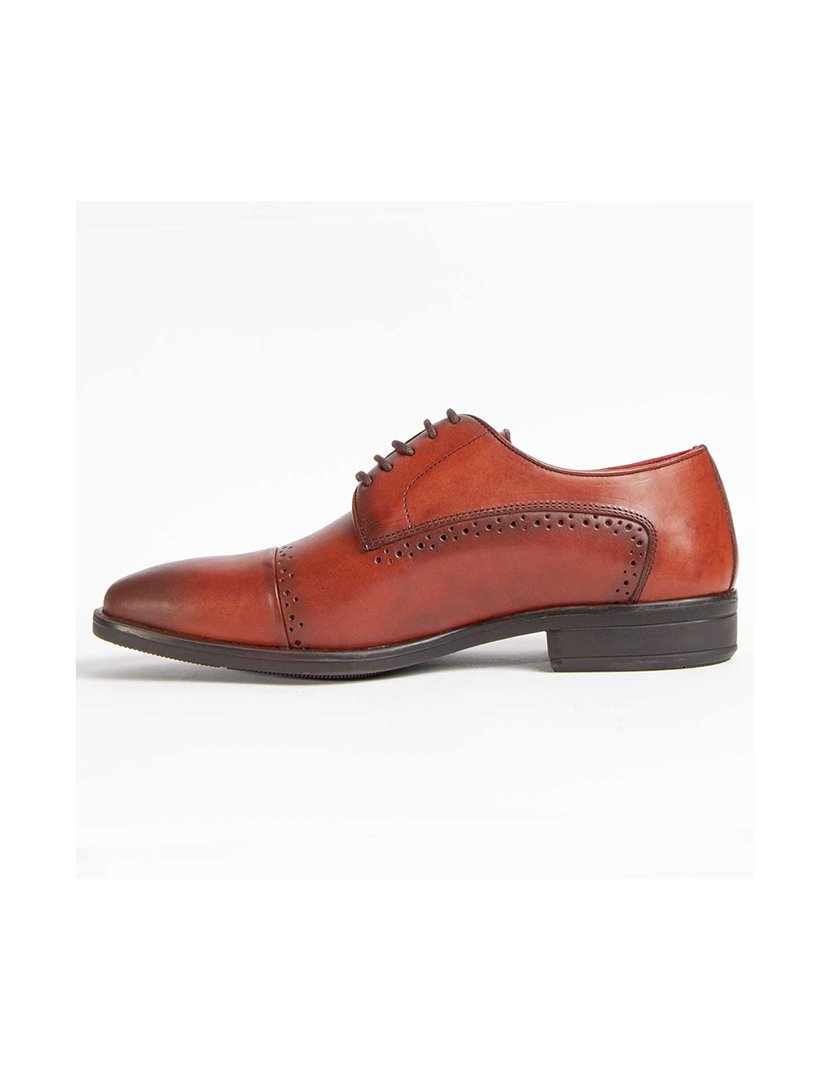 Sapatos Oxford Homem Castanho