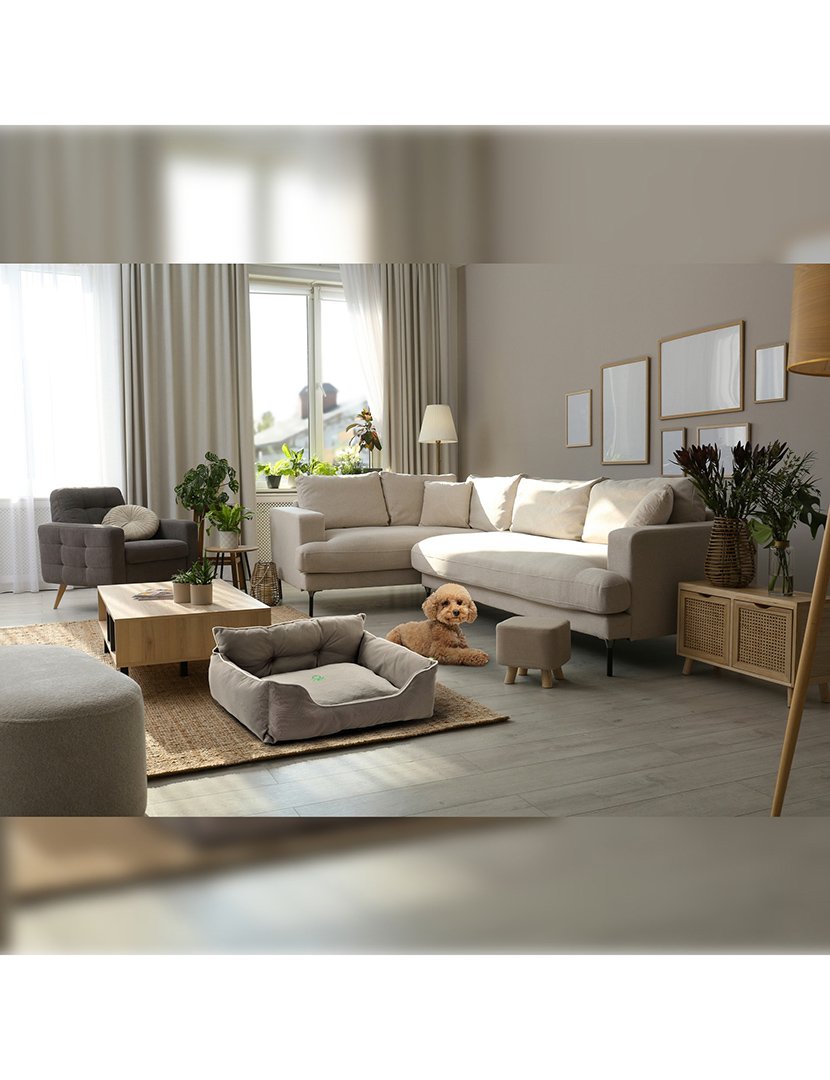 Cama Cão Castanho 65x50 cm