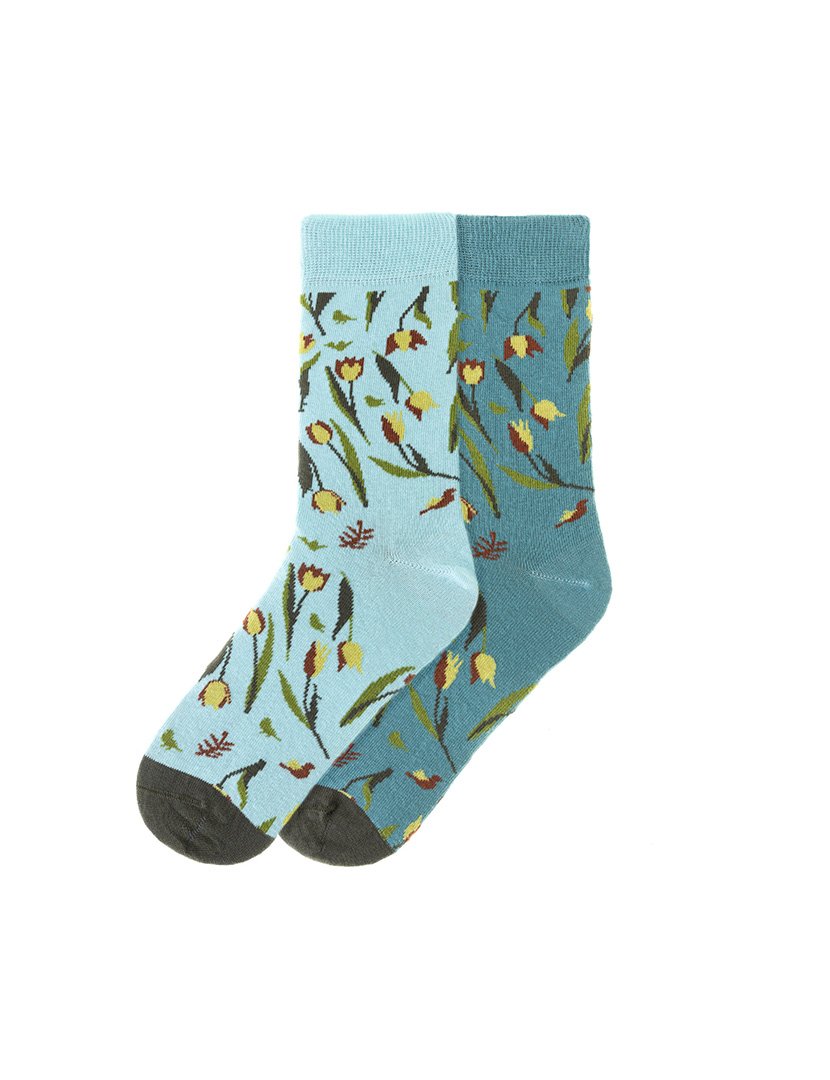 2 Pares de Meias multicoloridos