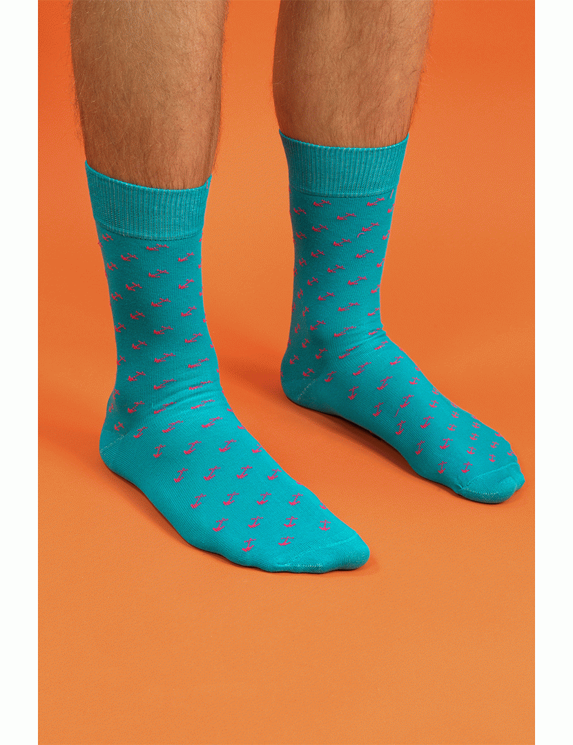 2 Pares de Meias multicoloridos