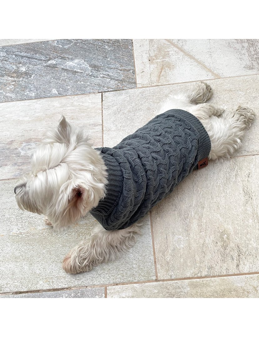 Camisola Animal de Estimação Cinza