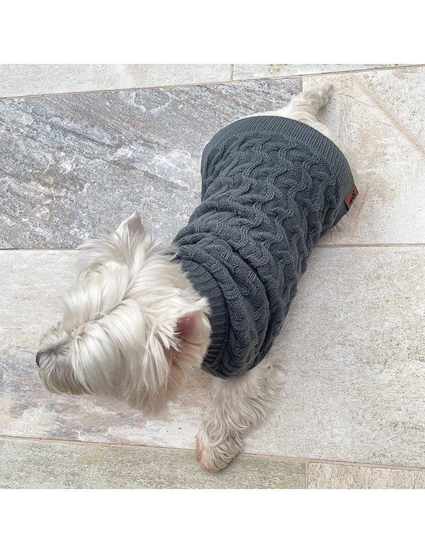 Camisola Animal de Estimação Cinza