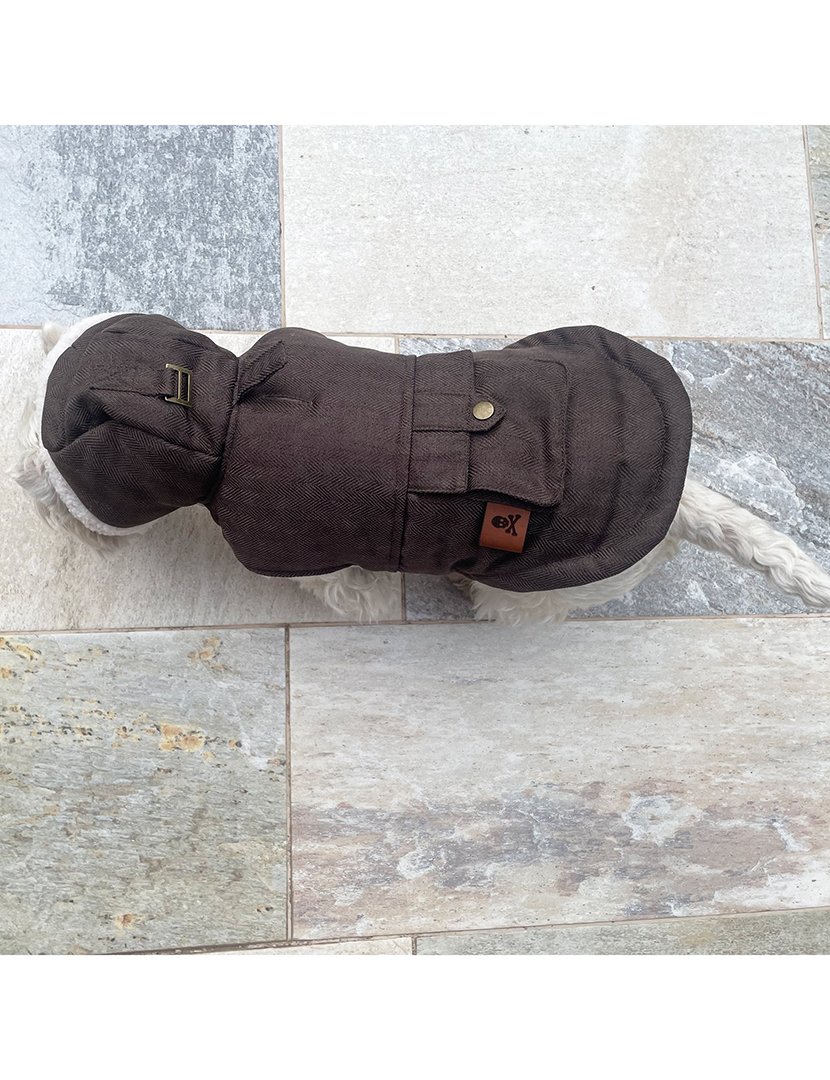 Casaco Animal Estimação Castanho