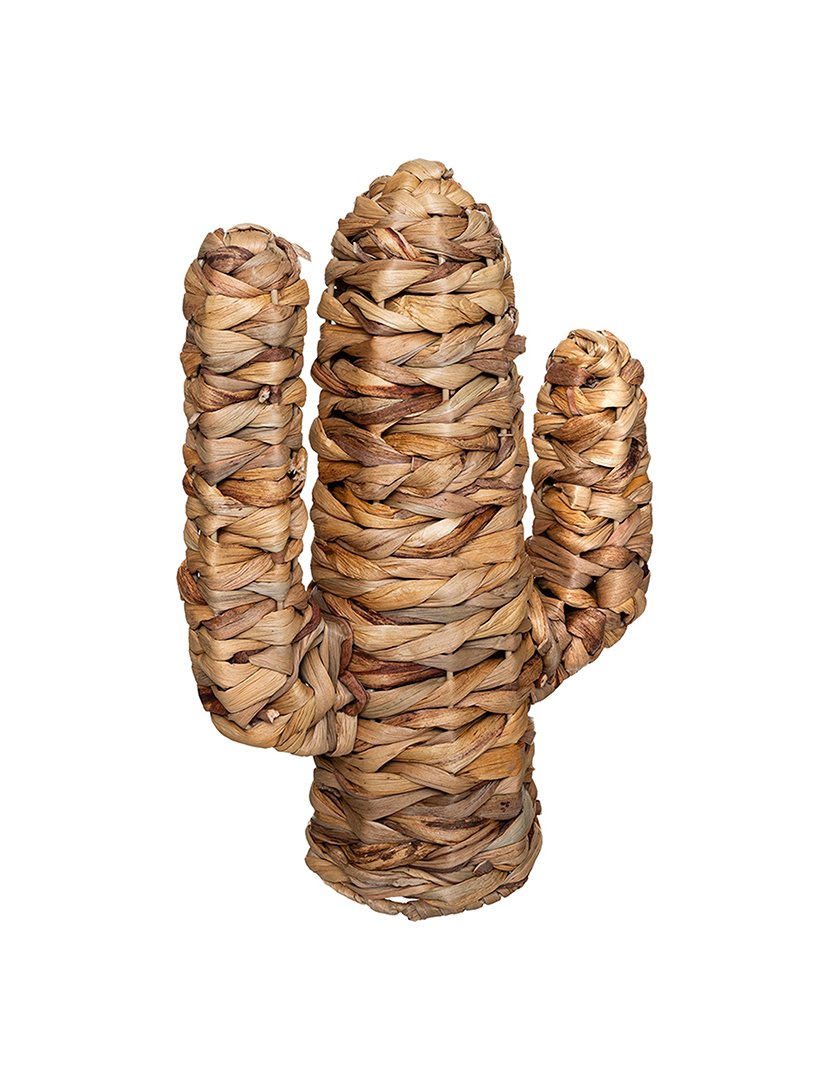 Modelo de cacto pequeno