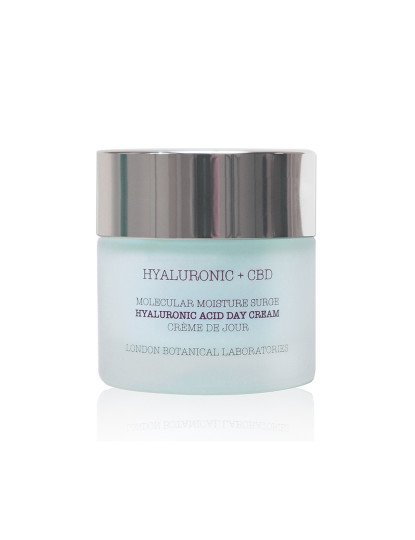 Ácido Hialurônico + CBD | Creme Diurno com Ácido Hialurônico Molecular Moisture Surge 50ml