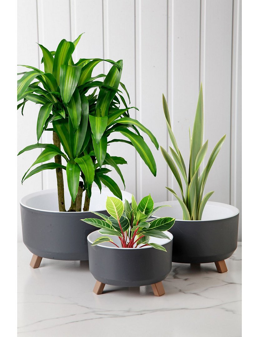 Conjunto de Vasos TRPTSKS-1-3