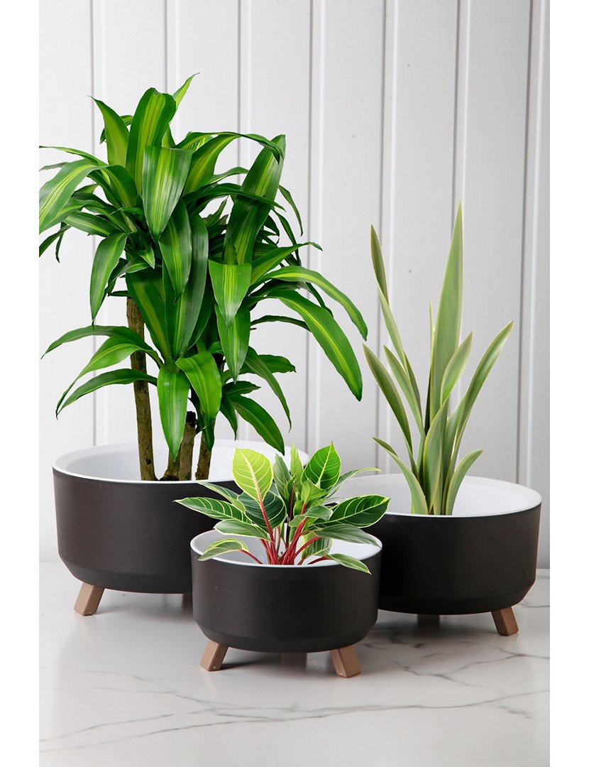 Conjunto de Vasos TRPTSKS-2-3