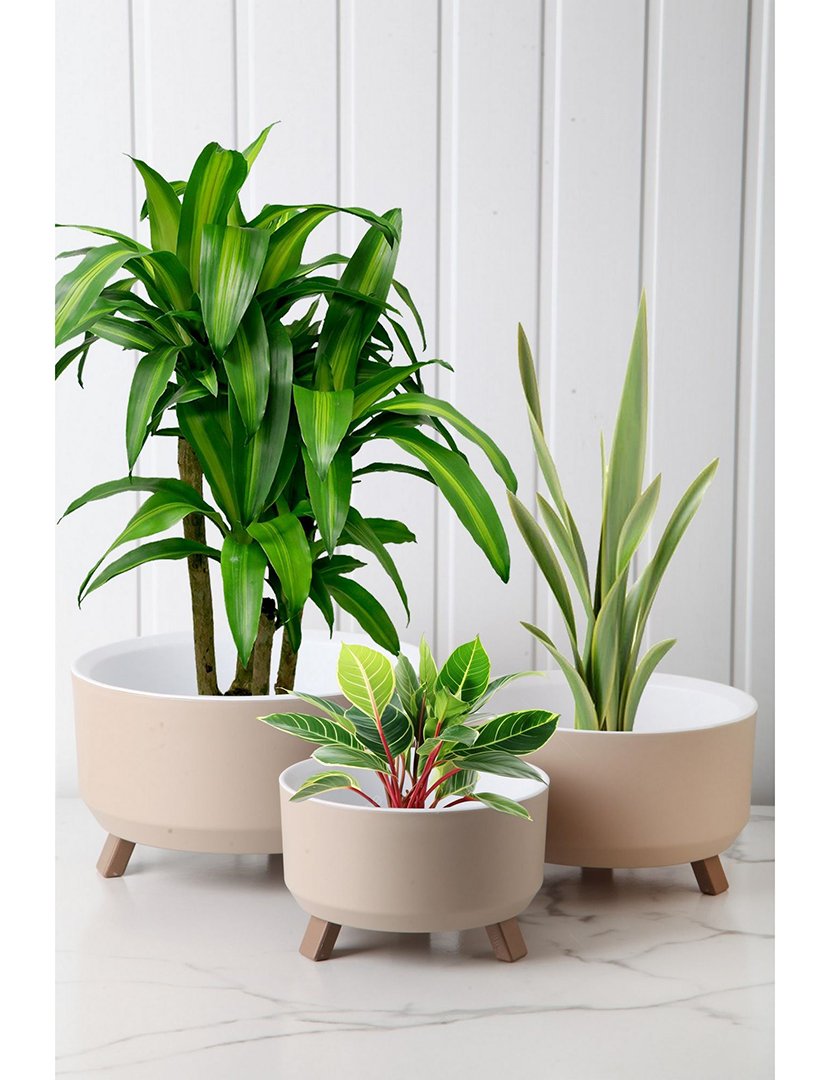 Conjunto de Vasos TRPTSKS-3-3