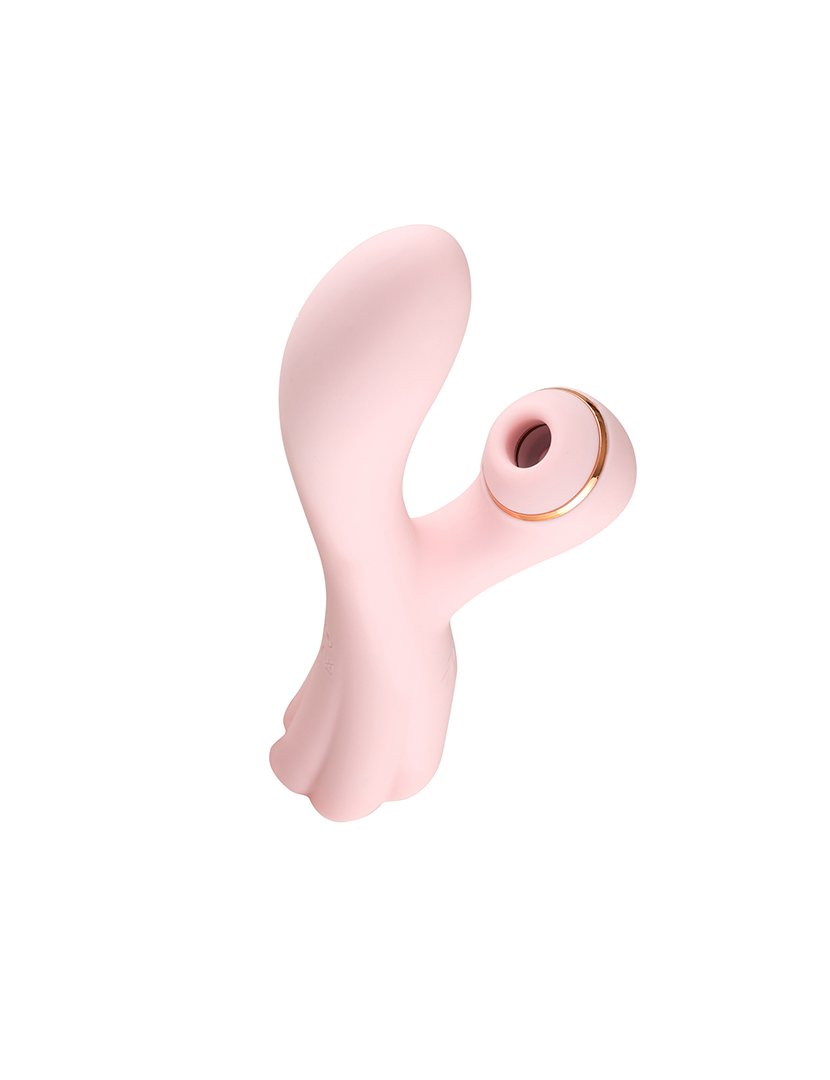 Pack Expert: estimulador de clitóris, vibrador rabbit, vibrador wand e dildo - Rosa