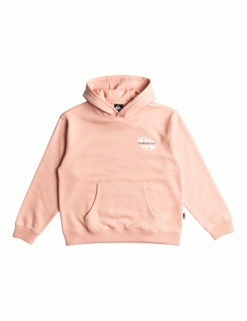 Sweatshirt Screen  Rosa