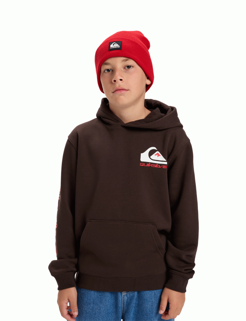 Sweatshirt Omni Logo  Castanho