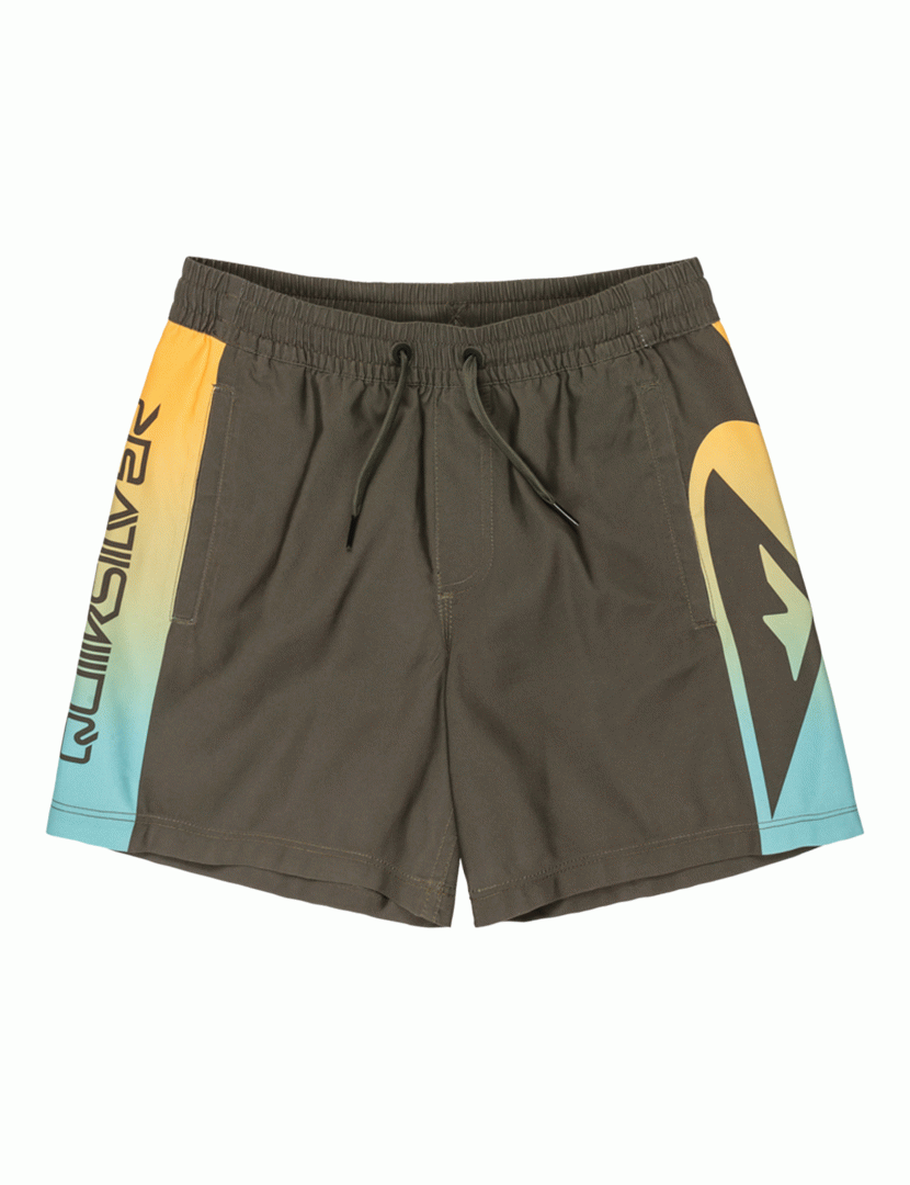 Calções de Banho Everyday Holmes Volley 14 Castanho