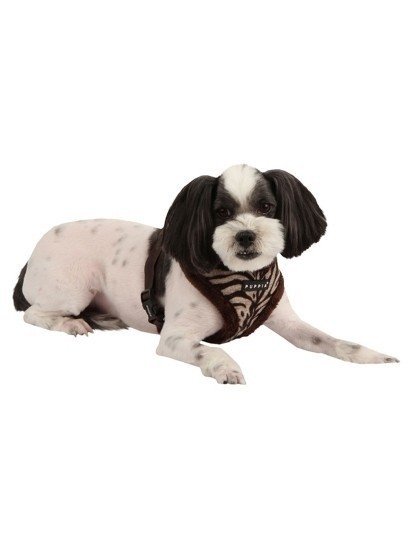 Peitoral Puppia Modern Castanho