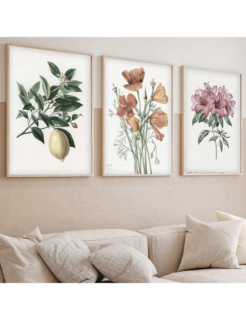 Conjunto 3 Quadros MDF Emoldurados Orchard Flowers