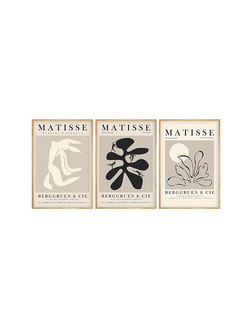 Conjunto 3 Quadros MDF Emoldurados Matisse Botanical