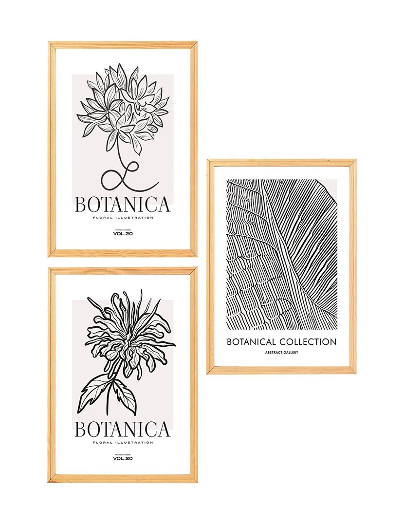 Conjunto 3 Quadros MDF Emoldurados Botanica