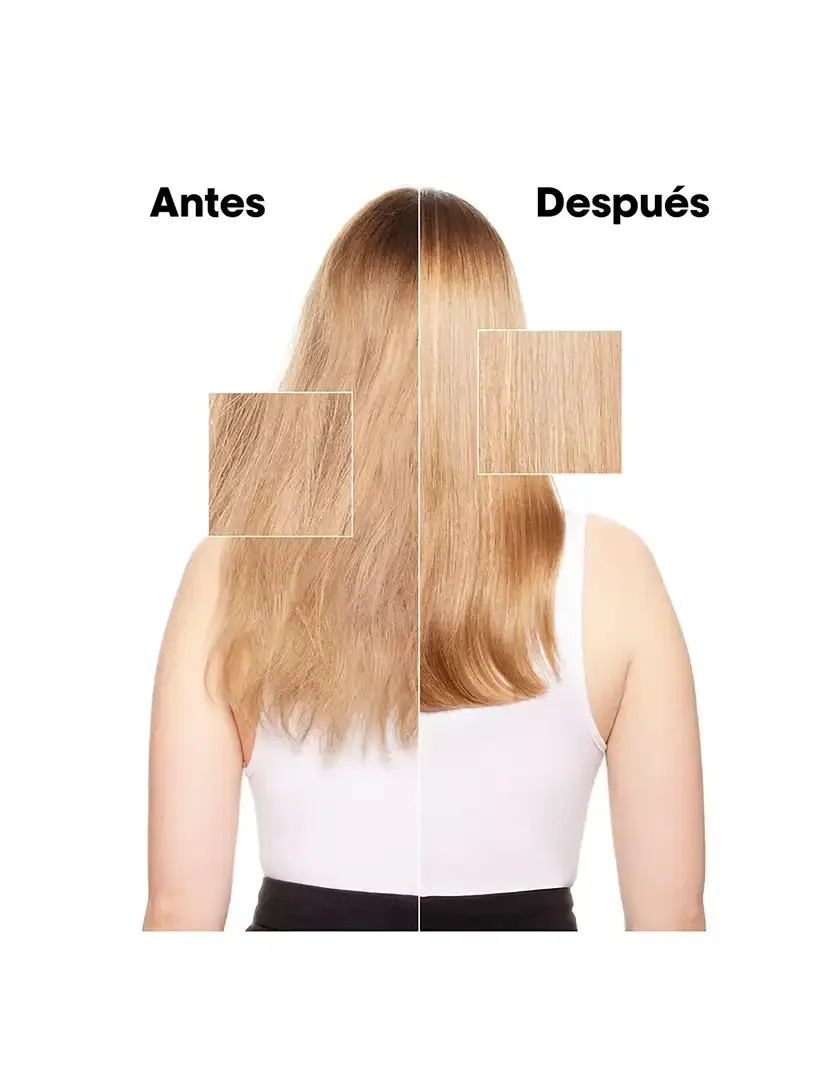 Champô Absolut Repair Recarga