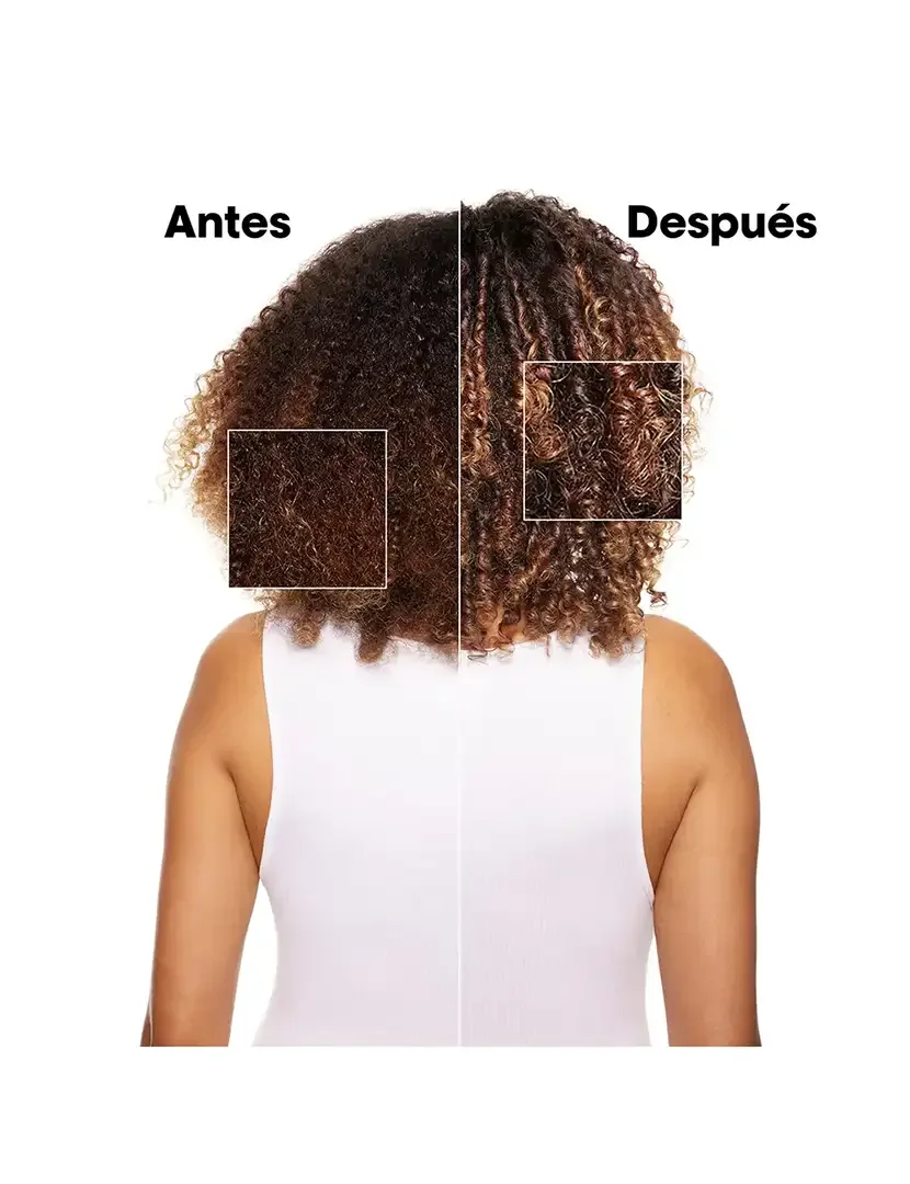 Champô Absolut Repair Recarga