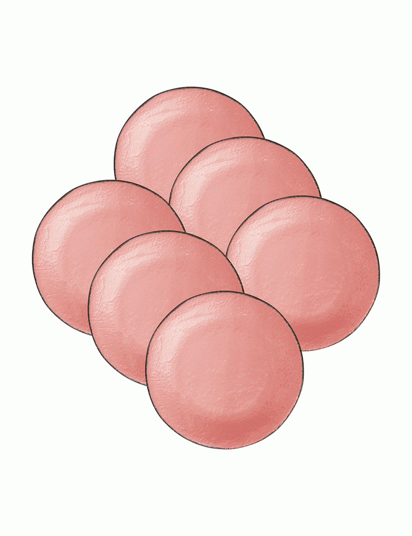 Conjunto 6 Pratos Rasos 26 cm Preta Rosa