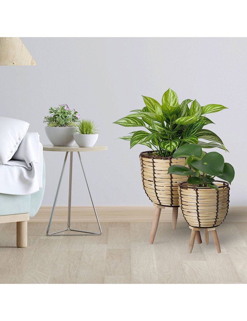 Conjunto de 2 cestos de madeira para plantas