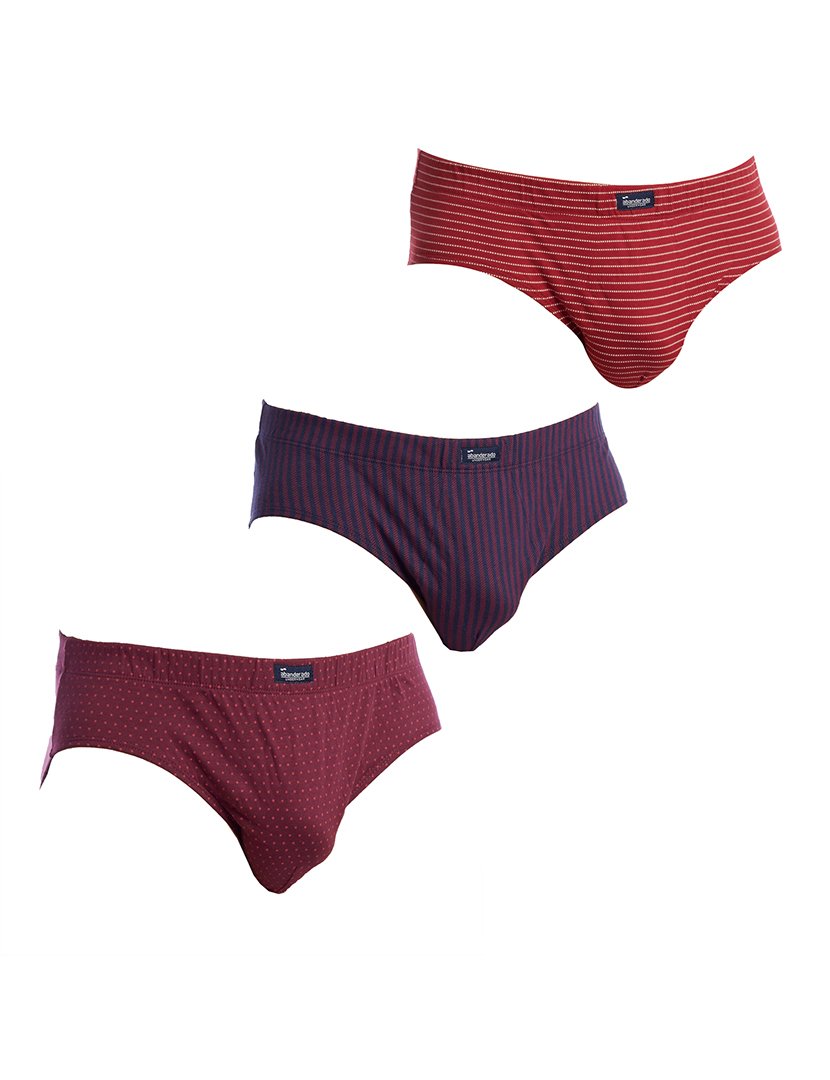 Pack 3 Slips Bordô