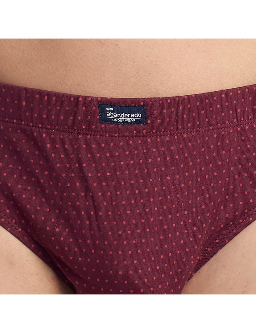 Pack 3 Slips Bordô