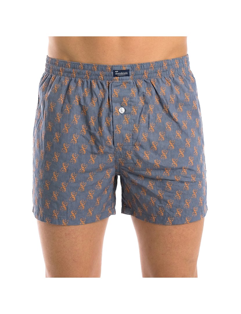 Pack 2 Boxers Castanho-Azul